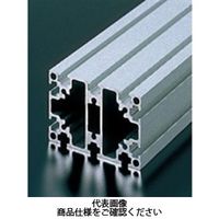 エヌアイシ・オートテック M4 ベーシックアルミフレーム 317mm AFS-4060-4-317 1セット（20本）（直送品）