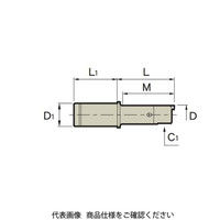 MSTコーポレーション マイクロヘッドMFAタイプ ST25T