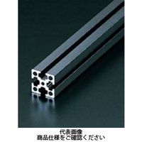 M4 ベーシックアルミフレーム ブラック 100mm AFS-2020-4-BK-100（直送品）