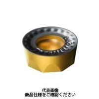 サンドビック（SANDVIK） TAミーリングチップ RCKT1606M0-KH