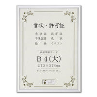 大仙 賞状額 オールライト B4（大） OPP J091B2901 　（直送品）