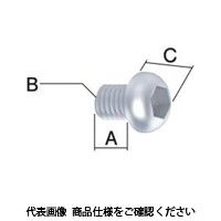 富士元工業 ブヒン BB3-4 ボタンボルト 1セット（10個）（直送品）
