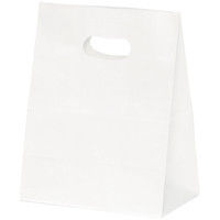 パックタケヤマ手提げ紙袋　イーグリップ　白無地　M　1箱（500枚入：50枚入×10袋）