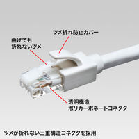 サンワサプライ LANケーブル カテゴリ6A