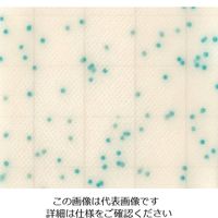 JNC MCーMedia Pad CC 大腸菌群用 (改)(1000枚) 2-5838-72 1ケース(1000枚)（直送品）
