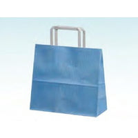 パックタケヤマ 手提袋 H平24 クリスタルブルー XZT01006 1包：50枚×4（直送品）