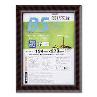 大仙 金ラックーR PET B5（大） SP 33J335B1600 10個（直送品）