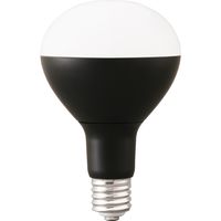 アイリスオーヤマ LED電球 投光器用 LDR D-H-E
