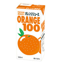 オレンジ 100 1セット(1000ml×6個) マルサンアイ　マルサンアイ（直送品）