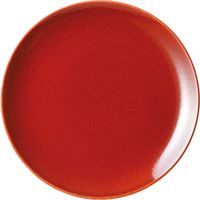 陶里 大皿 アーバンレッド10吋プレート (2個入) tri-301169903（直送品）