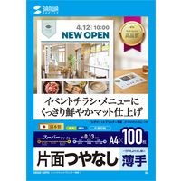 サンワサプライ インクジェットスーパーファイン用紙（A4・100枚入り） JP-EM4NA4N2-100 1個