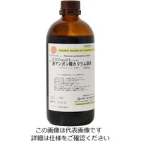 林純薬工業 0.005M 過マンガン酸カリウム溶液 VS 500mL 42000375 1セット（3本） 2-3128-06（直送品）