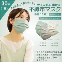 A4封筒 30枚 3層 不織布 カラー マスク 個包装 約10X17 箱無し ネコポス 感染対策 春色 使い捨て ファッション 衛生的（直送品）