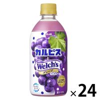 アサヒ飲料 「カルピスとWekch'sグレープ」 480ml 1箱（24本入）