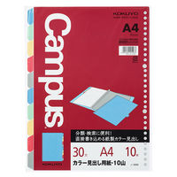 コクヨ ルーズノート中紙カラー見出し用紙A4 30穴・丸穴 ノ-899N 1組