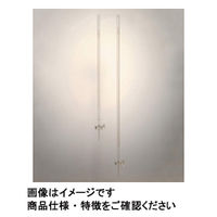 三商 宮原 活栓付ビューレット ガラスコック 青筋 10mL 1本 74-0782（直送品）