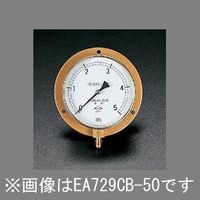 エスコ フレアー1/4”/100/128mm/0ー2.0MPa つば付圧力計 EA729CB-20 1セット(2個)（直送品）