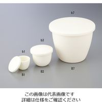 ニッカトー アルミナるつぼ(SSAーS) 本体 1000mL B7 1個 1-8316-07（直送品）