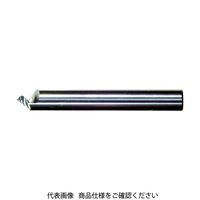 イワタツール（IWATATOOL） イワタツール 精密面取り工具トグロン シャンク径8mm 90TG8CB 1本 421-1022（直送品）