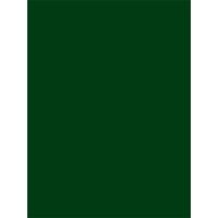 日本緑十字社 工事用黒板〈撮影用罫引型式〉 H-1 289001 1台（直送品）