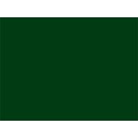 日本緑十字社 工事用黒板〈撮影用罫引型式〉 Wー1 289021 1台（直送品）