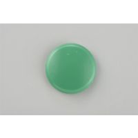 日本緑十字社 丸型カラーマグネット マグネ20（5/緑）20mmφ 10個1組 312075 1セット（100個：10個×10組）（直送品）