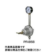 アネスト岩田 バツクプレツシヤバルブ PRーB5BN PR-B5BN 1個（直送品）