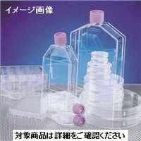 ＡＧＣテクノグラス　ポリーＬーリジンコート　カバーガラスチャンバー　1チャンバー　1ケース10個入　4202-040　1ケース　　（直送品）