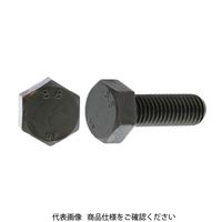 ファスニング J ユニクロ 鋼 強度区分8.8 六角ボルト 16X65 B000F3000160065001 1箱（50個）（直送品）