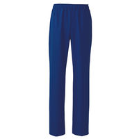 AITOZ（アイトス） 兼用パンツ（男女兼用） スクラブパンツ 医療白衣 ブルー LL 861402-006（直送品）