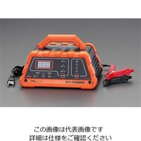 エスコ（esco） AC100V 自動充電器 1個 EA815YA-6A（直送品）