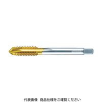 サンドビック（SANDVIK） サンドビック コロタップ EP1CPJ2-M16X1.5 1個 607-8851（直送品）