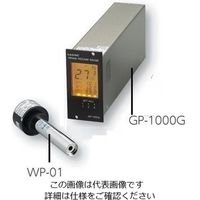 アルバック ピラニ真空計 GPー1000G+測定子WPー01 GP-1000G/WP-01 1式 2-156-01（直送品）