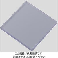 アズワン 樹脂板材 塩化ビニル板 PVCC-050502 495mm×495mm 2mm 1個 2-9212-02（直送品）