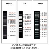 アズワン ビオラモDNAラダーマーカー (100~3000bp/5本入) VIO-100-5 1箱(5本) 2-9883-02（直送品）