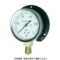 長野計器 長野 JIS汎用形圧力計（B枠） 圧力レンジ（MPa）:0.0～0.10 GS51-231-0.1MP 1個 277-2809（直送品）