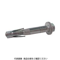 泰生工業 ヒジカタボルトHタイプ（六角ボルト仕様） AHB-1085-H 1セット（100本） 364-2372（直送品）