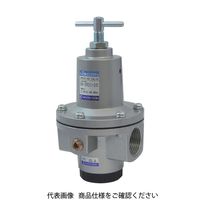 日本精器 レギュレータ 20A 中圧用 BN-3R01H1-20 1個 484-0852（直送品）