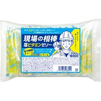 ノダキ 現場の相棒 塩ビタミンゼリー 詰め替え用 68029 1箱（9パック入）（直送品）