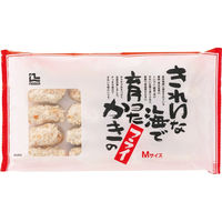 「業務用」 ノースイ 韓国産カキフライＭ焙焼白 199944 1ケース　(25g×20個)×6PC　冷凍（直送品）