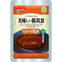 【非常食】 アルファフーズ UAA食品 美味しい防災食 ハンバーグ煮込み 5年6か月保存 1食