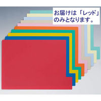 日本ホップス 仕切ガイド ラテラル A4 1色10枚（1袋） DG-A4L01 1袋（10枚入）（わけあり品）