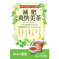 がんこ茶家　減肥爽快美茶　1箱（30バッグ入）　お茶