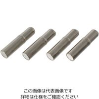 アイワ金属（AIWA METALS） 棚ダボ 5mm用 5×8mm AP-145