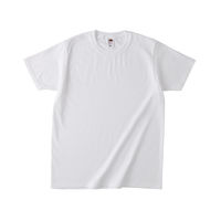 TRUSS フルーツベーシックTシャツ　サイズL　4.8oz　ホワイト　1着（直送品）