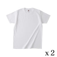 TRUSS フルーツベーシックTシャツ　サイズL　4.8oz　ホワイト　1セット（2着入）（直送品）