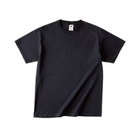 TRUSS フルーツベーシックTシャツ サイズXL 4.8oz