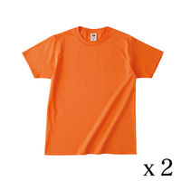 TRUSS フルーツベーシックTシャツ　サイズL　4.8oz　テネシーオレンジ　1セット（2着入）（直送品）
