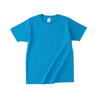 TRUSS フルーツベーシックTシャツ　サイズL　4.8oz　パシフィックブルー　1着（直送品）
