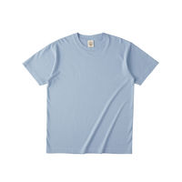 TRUSS オーガニックコットンTシャツ　サイズM　5.3oz　アシッドブルー　1着（直送品）